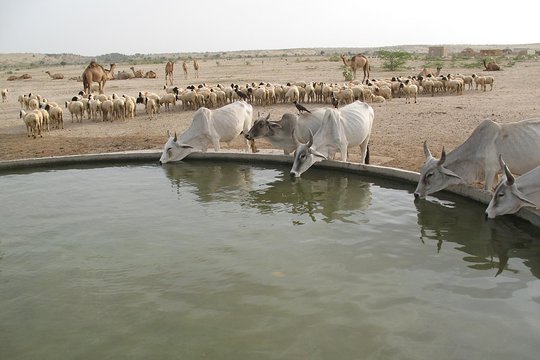 Tour image 8