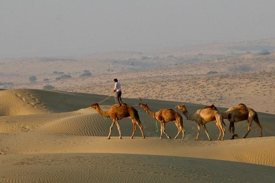 Tour image 1