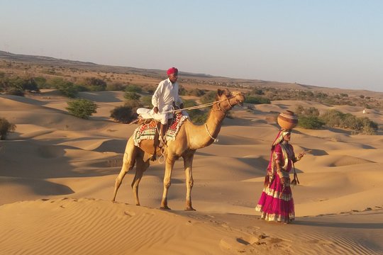 Tour image 4