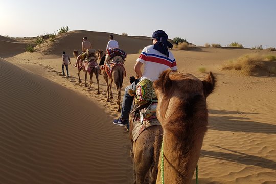 Tour image 5