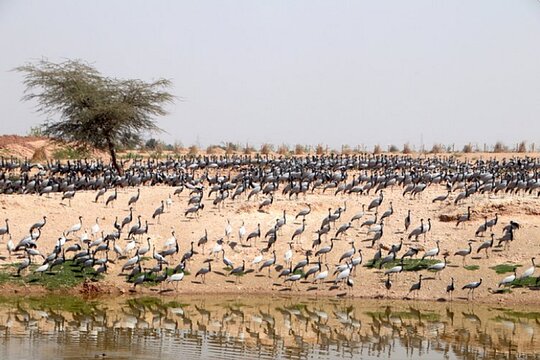Tour image 14