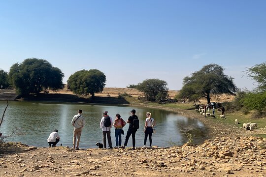Tour image 4